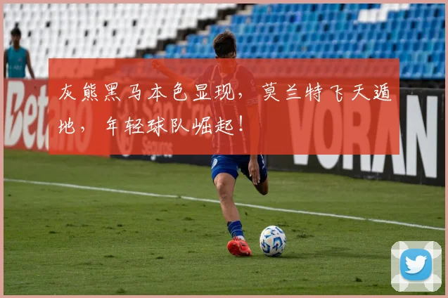 灰熊黑马本色显现,莫兰特飞天遁地,年轻球队崛起!