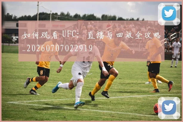 如何观看 UFC：直播与回放全攻略_20260707022919