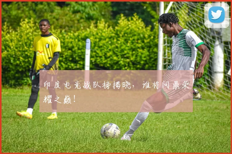 印度电竞战队榜揭晓，谁将问鼎荣耀之巅！