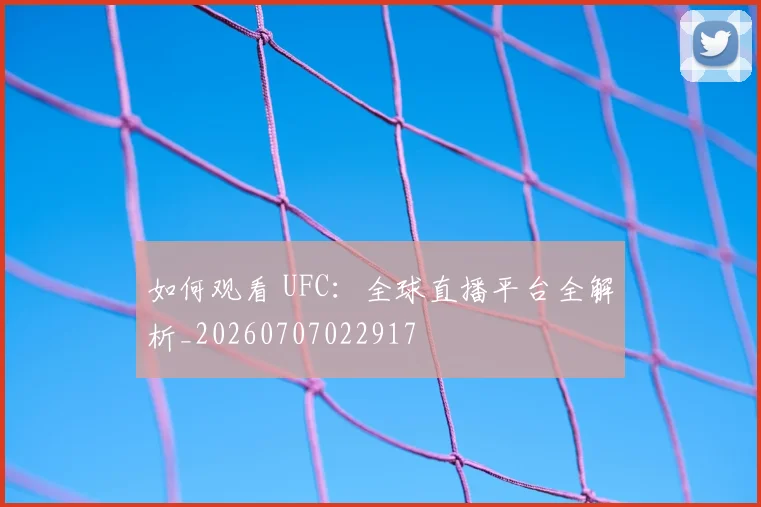 如何观看 UFC：全球直播平台全解析_20260707022917
