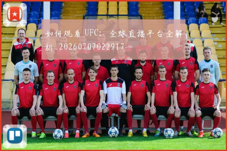 如何观看 UFC:全球直播平台全解析_20260707022917