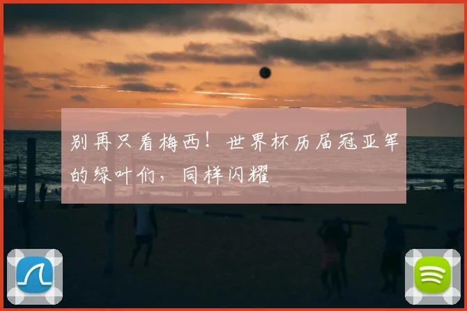 别再只看梅西!世界杯历届冠亚军的绿叶们,同样闪耀